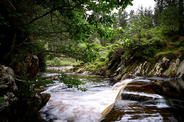 Fototapeta premium Ireland highland river, waterfall, tree