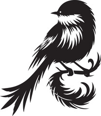 Bird logo icon silhouette vactor art illustrator