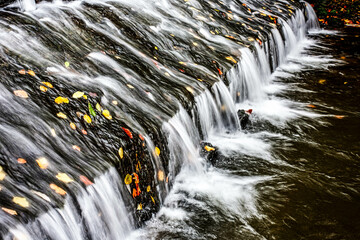 Stream in forest, autumn in october