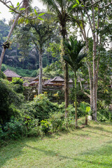 tropical garden at Gunung Kawi Temple