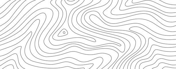 abstract wavy background. topographic contour background. contour lines background. Topographic map contour background.