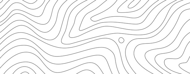 abstract wavy background. topographic contour background. contour lines background. Topographic map contour background.