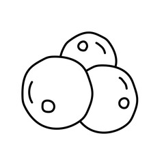 Acai berry in doodle style. Vector isolated on white background