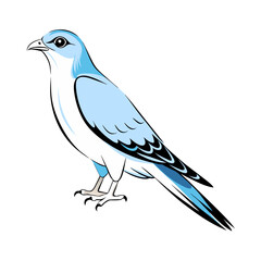 Fototapeta premium detailed vector illustration of a blue jay with vibrant blue and white feathers.