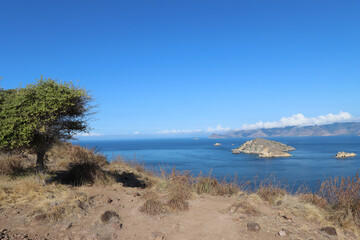 Landscape with tree, island and Indian Ocean