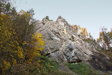 Autumn landscape. A rock in an autumn forest