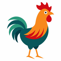  rooster vector illustration