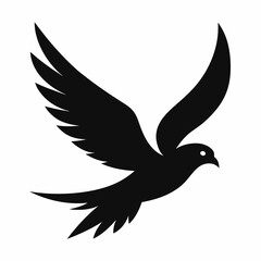 dove of peace vector