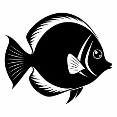 fish isolated on white