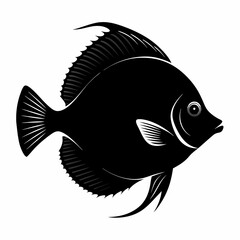 fish isolated on white