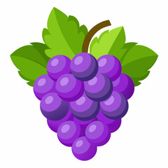 grapes isolated on white