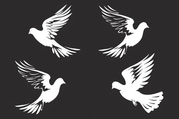 Obraz premium Four white doves sitting on a black surface, often used for mourning or memorial purposes