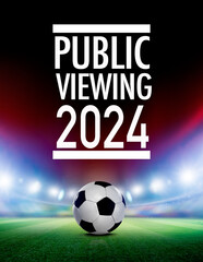 Fußball im einer Fussballarena im Scheinwerferlicht 2024