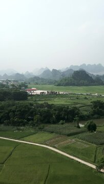 panoramic drone view of plain near farmland and river between mountains and road in hanoi vietnam