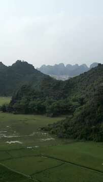 Drone rising above wet crop fields near lush mountains in Hanoi Vietnam