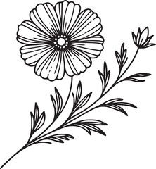 This is an illustration of flowers in a simple and modern line art style. The image features various types of flowers with different shapes and sizes, each with unique petal and leaf details.