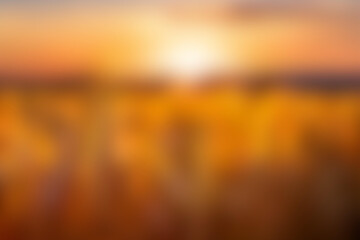 Abstract, modern and colorful mesh gradient Background, latest trend.