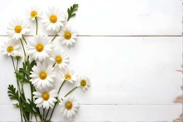 Fototapeta premium Chamomile flowers scattered on a white backdrop in a square flat lay; serene spring-summer vibe.
