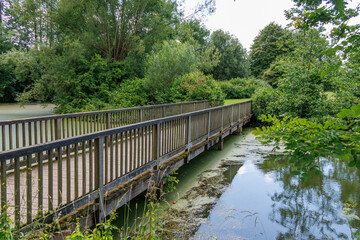 Sommertag an einem See im Münsterland
