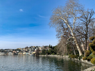 Parco nei pressi di Lugano nella Svizzera Italiana