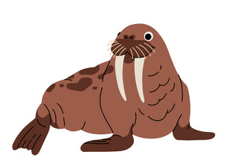 Vector cartoon illustrations of walrus on a white background. Flat cute icon of walrus. Underwater world, ocean, underwater inhabitants.