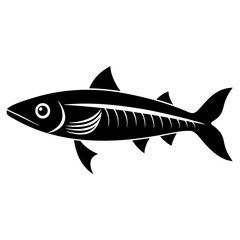 fish isolated on white background