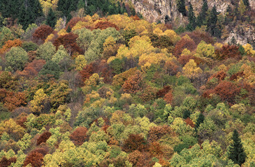 autumn in the mountains