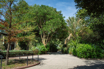 path in the park of chapultepec in mexico city 