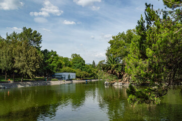 Fototapeta premium lake in the park in chapultepec park in Mexico City