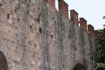 Blick in die Altstadt von Pisa in Italien	