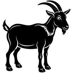 goat on white