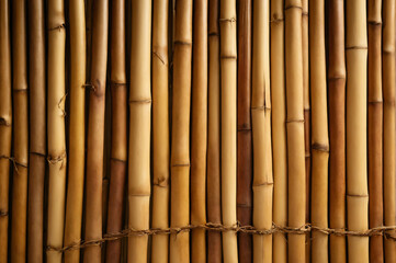 Fototapeta premium A close-up view of a natural bamboo fence