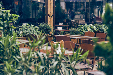 Selective focus on the facade of an outdoor glass cafe with a summer veranda. Green leaves of plants in the foreground. There is a place to copy. High quality photo