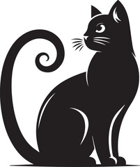 black and white cat