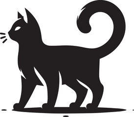 black and white cat
