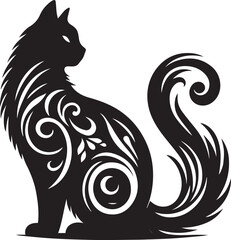 black and white cat