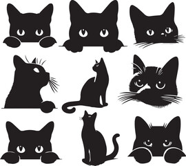 illustration of a cat