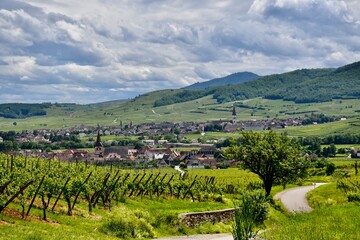 Naklejka premium Enjoying ther Alsace