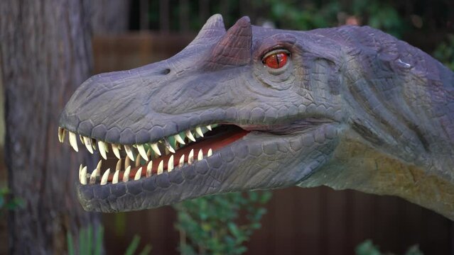 A close-up of the spinosaurus head turns its head to the sides, it was a fairly large animal. The horns are located on the head near the eyes. High quality 4k footage