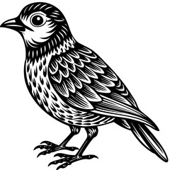 Fototapeta premium bird vector silhouette illustration svg file 