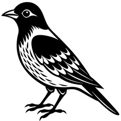 bird vector silhouette illustration svg file
