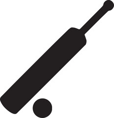 Cricket Bat Close-Up