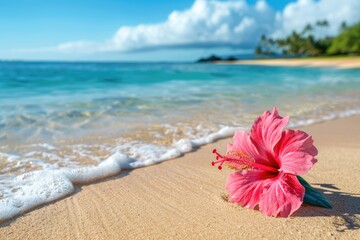 Fototapeta premium Aloha Hawaii. Beach Sand Sculpture with Ocean in Hawaii, USA