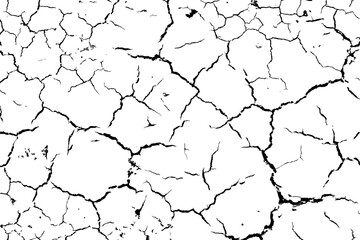 The texture of the cracks is white and black. Vector background. Cracked ground. Structure of cracks. Cracks in the texture of dry soil surface.