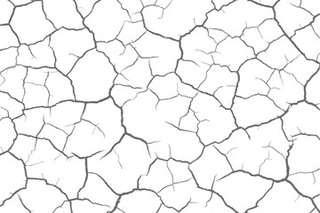 The texture of the cracks is white and black. Vector background. Cracked ground. Structure of cracks. Cracks in the texture of dry soil surface.