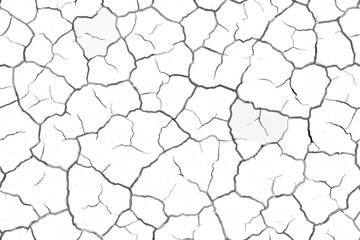 The texture of the cracks is white and black. Vector background. Cracked ground. Structure of cracks. Cracks in the texture of dry soil surface.