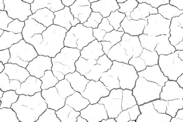 The texture of the cracks is white and black. Vector background. Cracked ground. Structure of cracks. Cracks in the texture of dry soil surface.