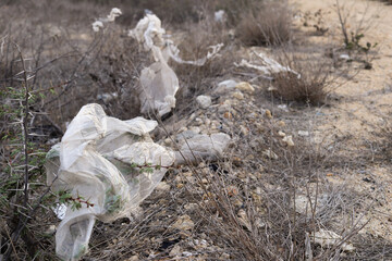 Littered Landscape: Plastic Bags in Dry Grass