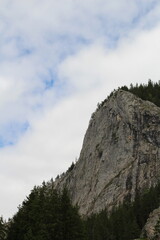 A rocky cliff with trees