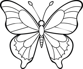 butterfly illustration
